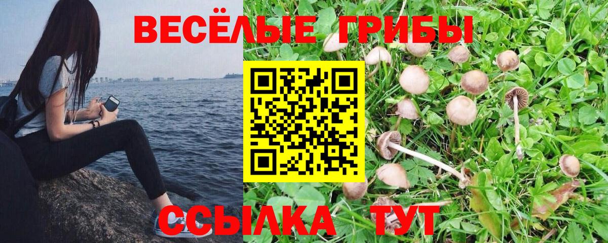 Псилоцибиновые грибы Magic Shrooms Тобольск