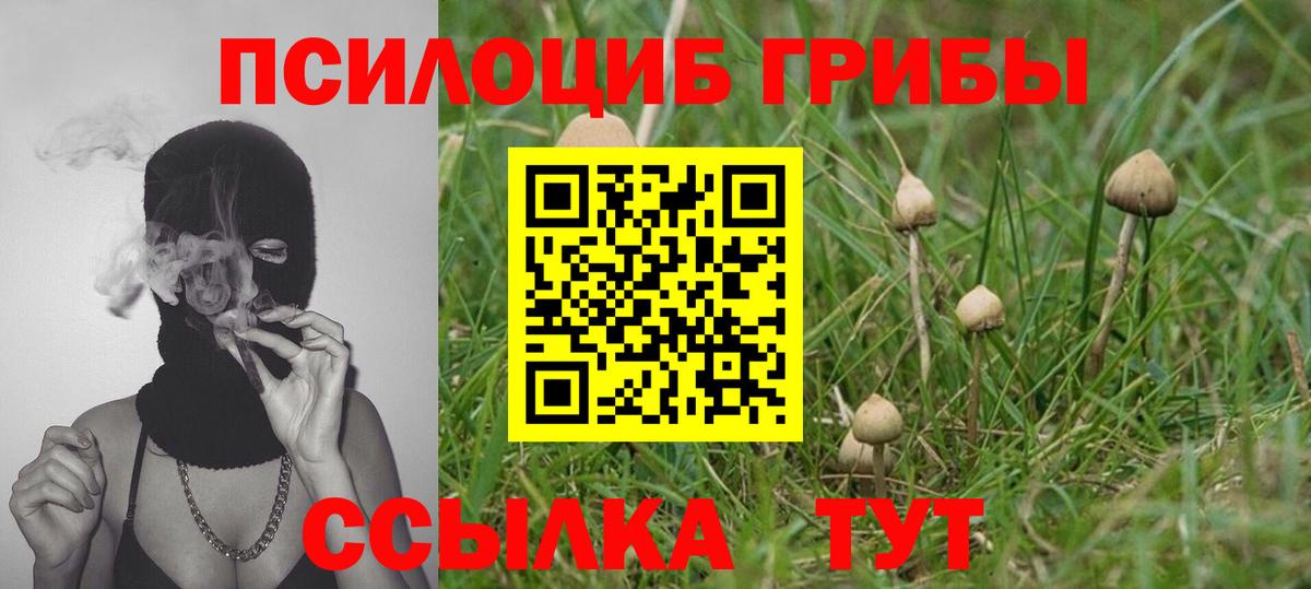 Псилоцибиновые грибы Psilocybine cubensis  Псилоцибиновые грибы мицелий  купить   Вход с VPN  Тобольск 